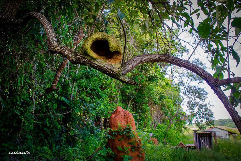 Pousada Shangrila Sao Thome São Tomé das Letras Exteriör bild