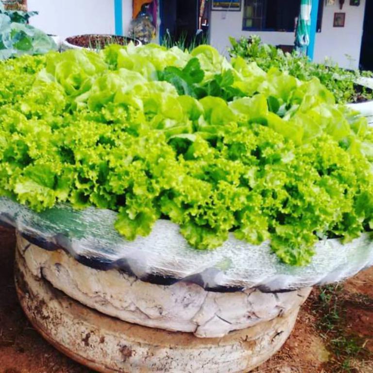 Pousada Shangrila Sao Thome São Tomé das Letras Exteriör bild